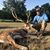 Bryan Kindler's profile image