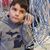 Dana Yesensky Colley's profile image