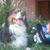 Zachary Wrench's profile image