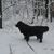 Gordon Schmidt's profile image