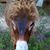 Earl Griffin's profile image