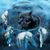 Tami Evans's profile image