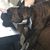 Betsy Batchelder's profile image
