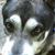 Darlene Johnston's profile image
