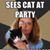 Lucy Vinton's profile image