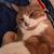 Mike DeLucia's profile image