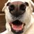 Kristi Harper's profile image