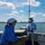 Cheryl Spivey Johnson's profile image