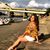 Lexi Campaneo's profile image