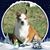 Sabby Arriola's profile image