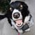 Amy Vestrand's profile image