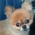 Donna Goodlavage Huey's profile image