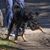 Keila Classen Simos's profile image