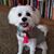 Peggy Cooper's profile image