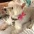 Barbara Anderson's profile image