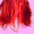 Kellie Rogers's profile image