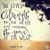 Anne Dyche's profile image