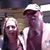 Chuck Allison's profile image