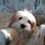 Christi Franks's profile image