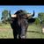 Seth LaFountaine's profile image