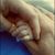 Antonella D'Addio's profile image