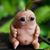 Patrick Merkle's profile image