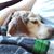 Rebecca Logsdon's profile image