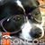 Frances Velasquez's profile image
