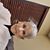 Mary Albert's profile image