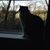 Margaret Gaither's profile image