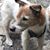 Lisa Wangsnes's profile image