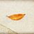 Basma Sultan's profile image