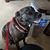 Joseph Nicknish Jr.'s profile image