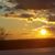 Courtney Lamontagne's profile image
