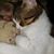 Teri Harris's profile image