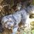 Rhonda Eggleston's profile image