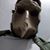 Diego Peredo's profile image