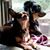 Liz Wagner Murphy's profile image