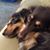 Jane Rogers's profile image