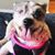 Michelle Bridget's profile image