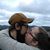 Amy Muscavitz's profile image