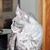 Cathy Lynn Zick Minix's profile image