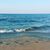 Brenda Craig Casteen's profile image