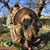 Randy DuMez's profile image