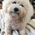 Patrikya Serge Kuznetsoff's profile image