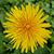 Sara Hogarth's profile image