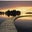Claire M. Marcantonio's profile image