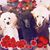 Sandra Farley's profile image