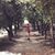 Jina Ayad's profile image