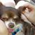 Trevor Gledhill's profile image